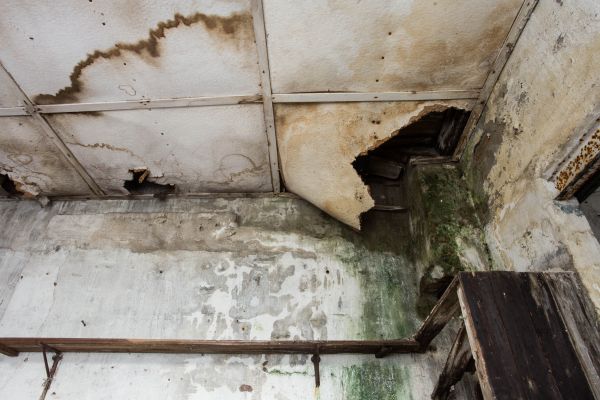 Cost of Water Damage Service in Port Saint Lucie