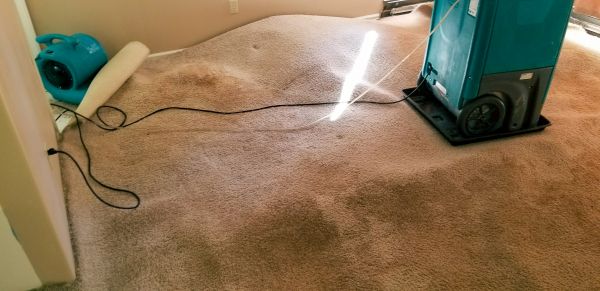 Cost of Flood Damage Cleanup in Port Saint Lucie