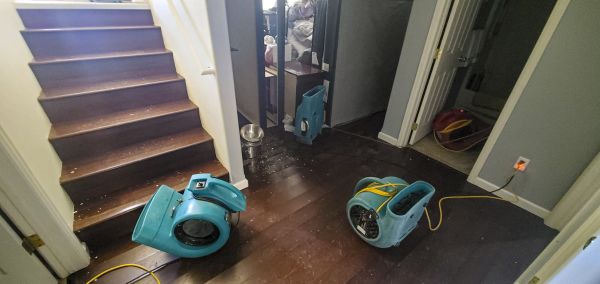 Cost of Water Damage Remediation in Port Saint Lucie