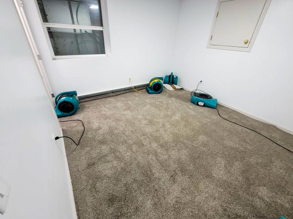 Cost of Flood Restoration Service in Port Saint Lucie