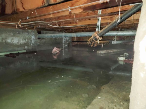 Cost of Crawl Space Drying in Port Saint Lucie