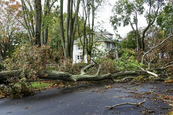 Cost of Tornado Damage Repair in Port Saint Lucie